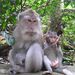 2005_indonesiatrip_207_2